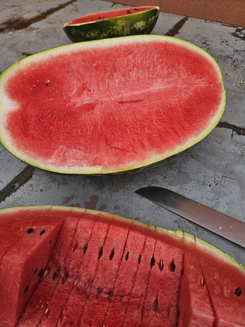 Corel Fruits - Moroccan Watermelon Export