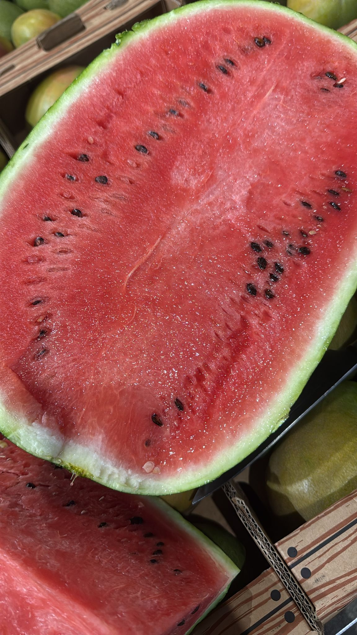 Corel Fruits - Moroccan Watermelon Export