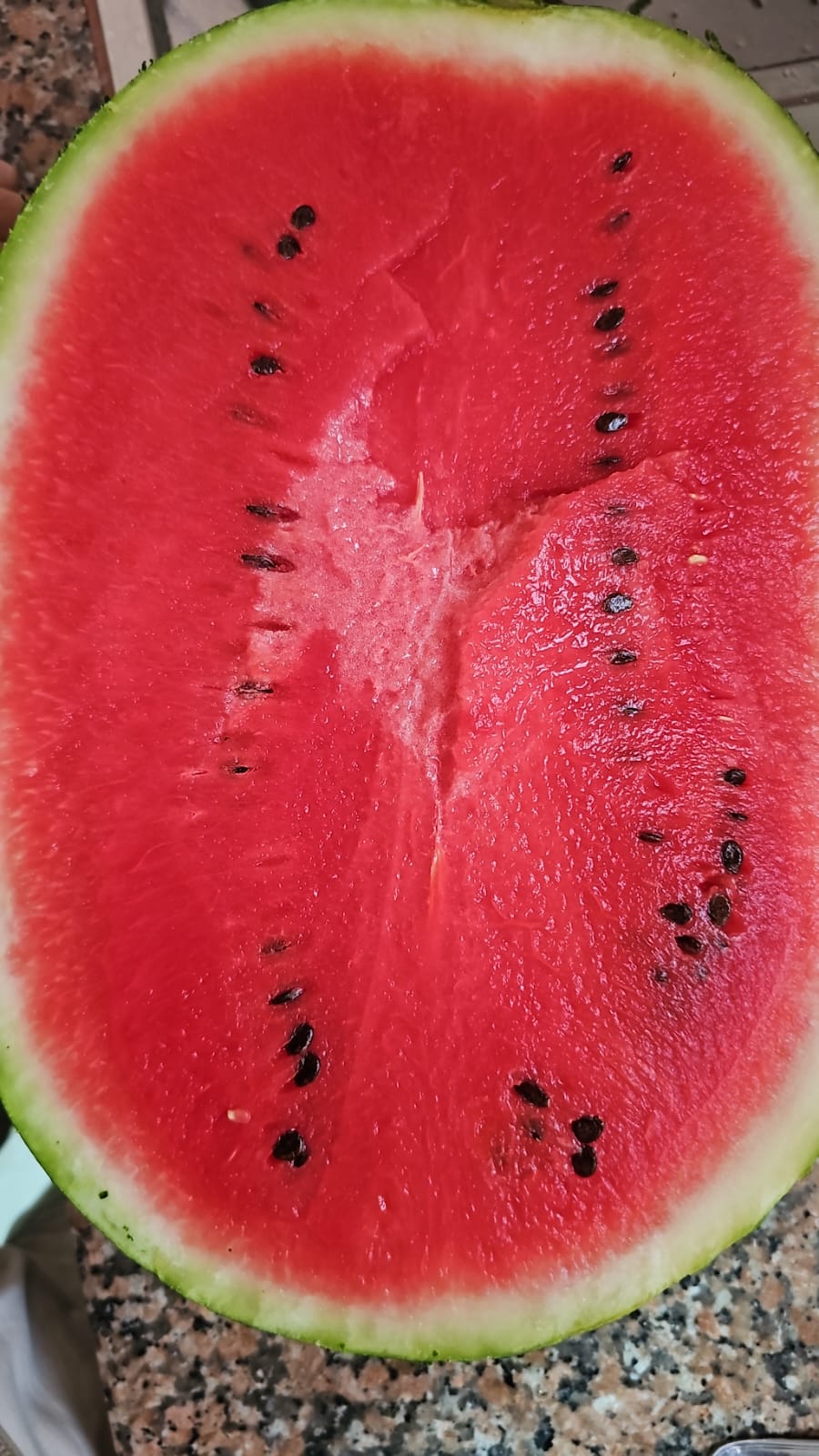 Corel Fruits - Moroccan Watermelon Export