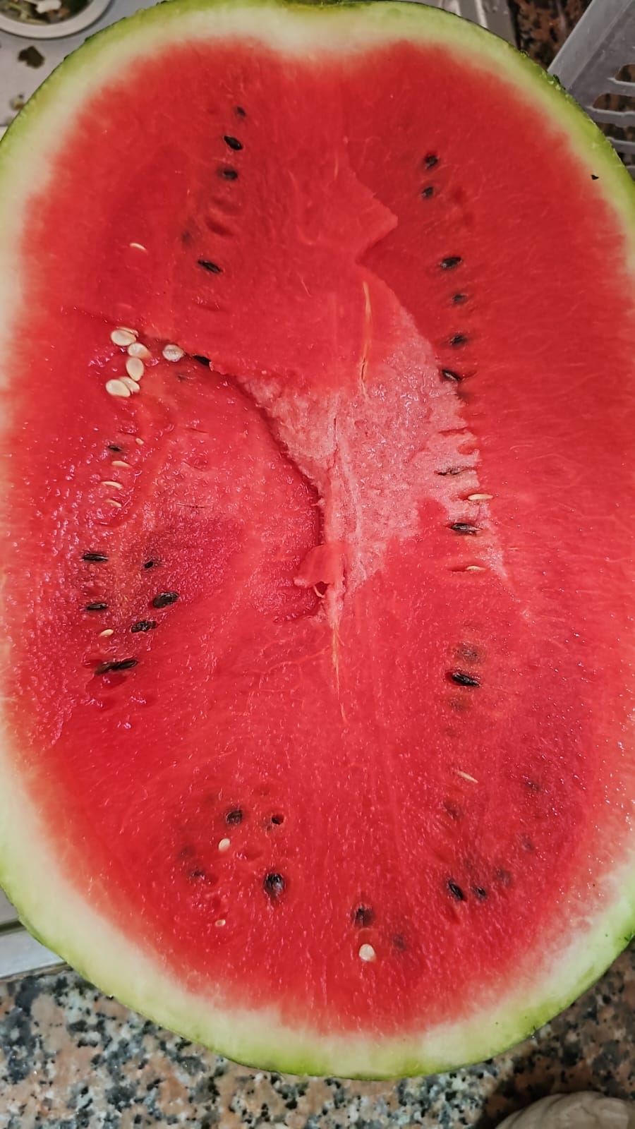 Corel Fruits - Moroccan Watermelon Export
