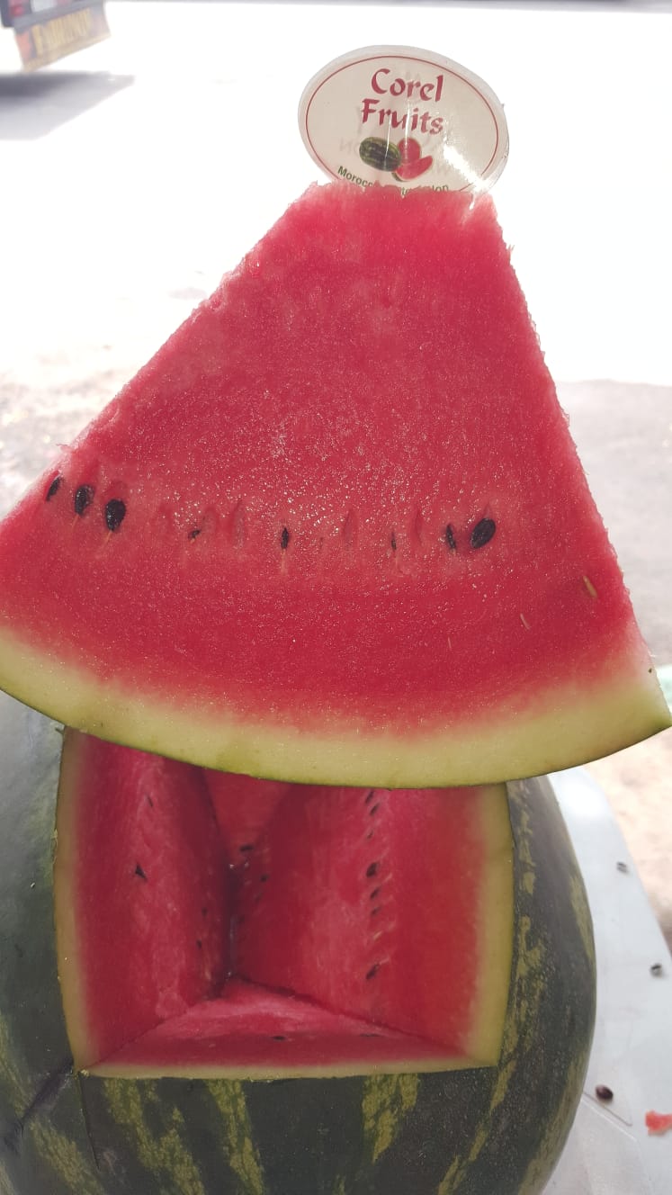Corel Fruits - Moroccan Watermelon Export