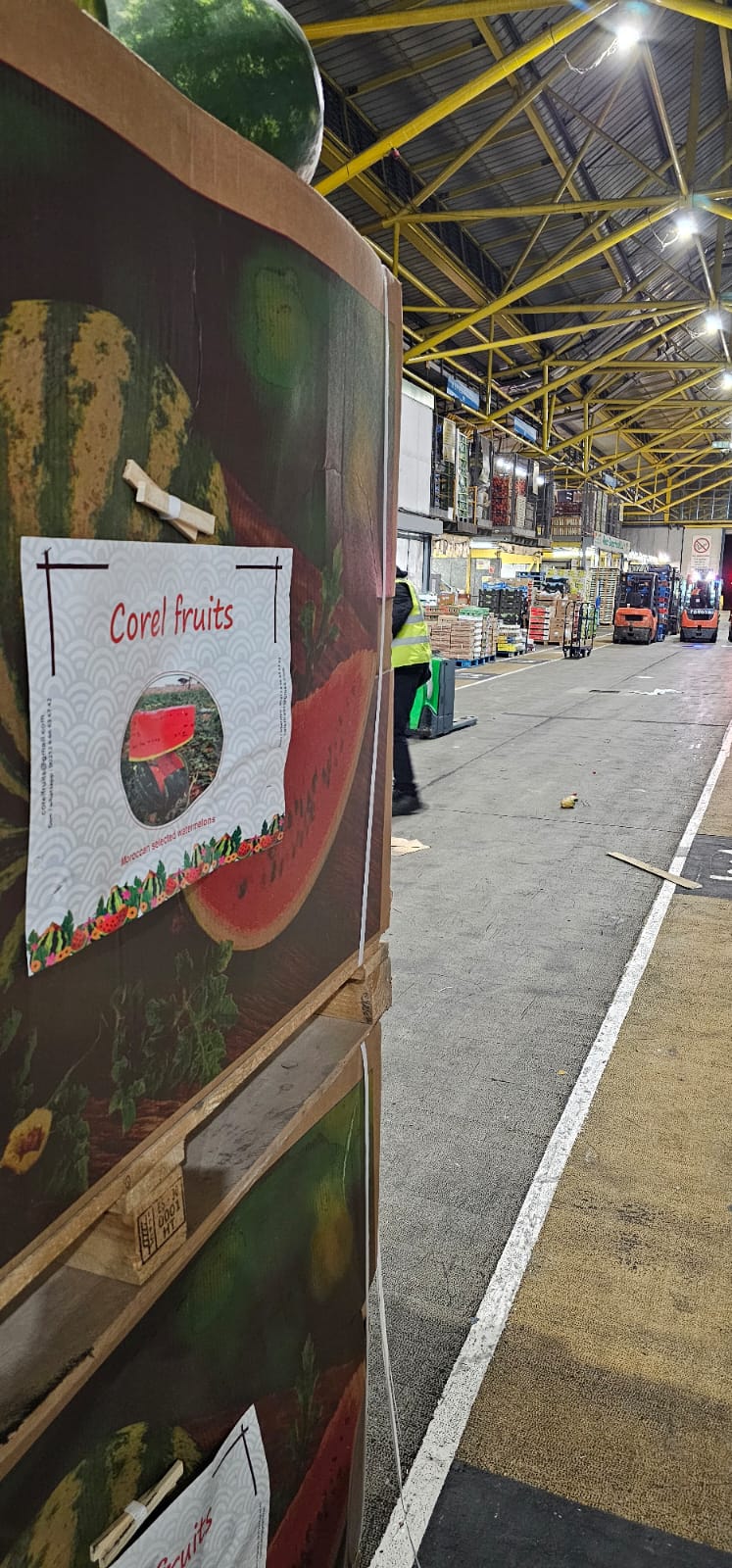 Corel Fruits - Moroccan Watermelon Export