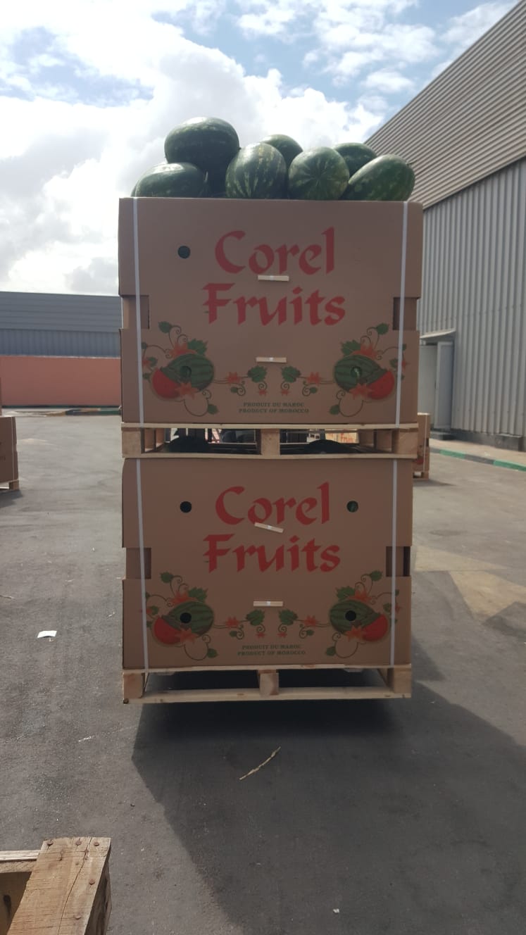 Corel Fruits - Moroccan Watermelon Export